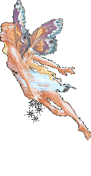 Vuelo del Alma 13